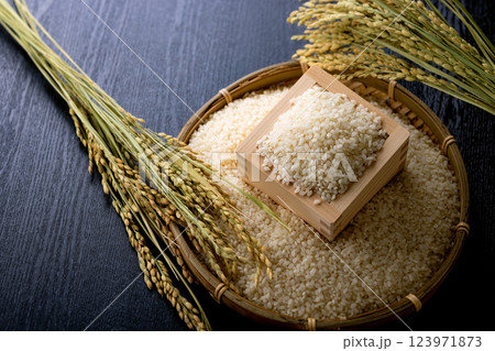 升に入ったお米 123971873