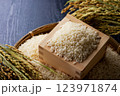 升に入ったお米 123971874
