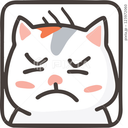 Cute angry cat vector illustration with grumpy expression Cute angry cat vector illustration with grumpy expression 123972060