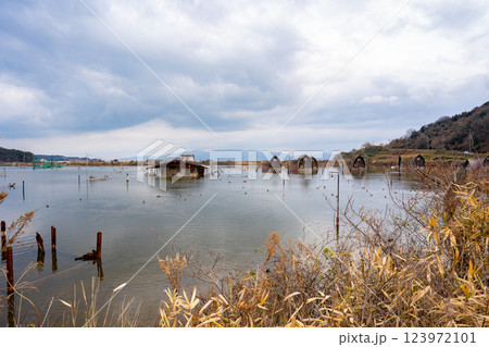 鹿忍グリーンファーム跡 (水没ペンション村)の風景 123972101