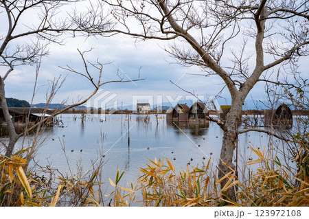 鹿忍グリーンファーム跡 (水没ペンション村)の風景 123972108