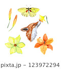 Watercolor Illustration cute fox and spring flowers and butterflies 123972294