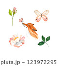 Watercolor Illustration cute fox and spring flowers and butterflies 123972295