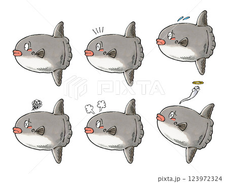 マンボウセット マンボウセット 123972324