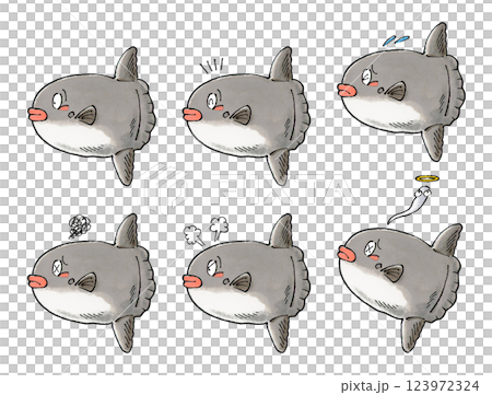 翻車魚集 123972324