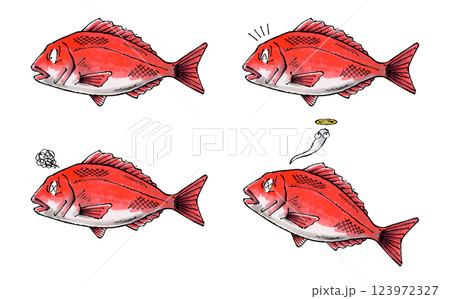 鯛セット 123972327