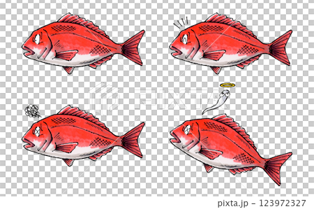 鯛セット 123972327