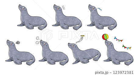 アシカセット 123972381