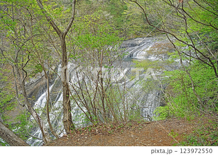 袋田の滝の上流風景 123972550