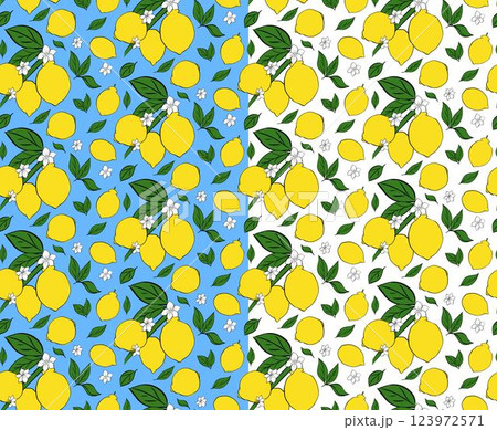 citrus lemon branches with leaves and white flowers seamless pattern. Vector graphic line ink illustration on transparent background. Ideal for menu, package, cosmetic, textile, cards citrus lemon branches with leaves and white flowers seamless pattern. Vector graphic line ink illustration on transparent background. Ideal for menu, package, cosmetic, textile, cards 123972571