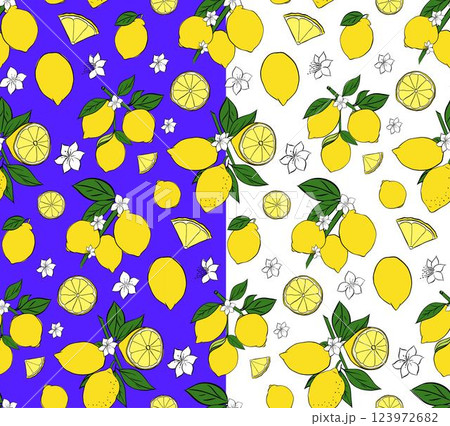lemons on the branches with slices and flowers seamless pattern. Graphic line ink vector illustration for package, kitchen design, fabric and textile. lemons on the branches with slices and flowers seamless pattern. Graphic line ink vector illustration for package, kitchen design, fabric and textile. 123972682