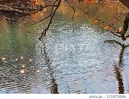 寒い早春の一碧湖風景 123972686