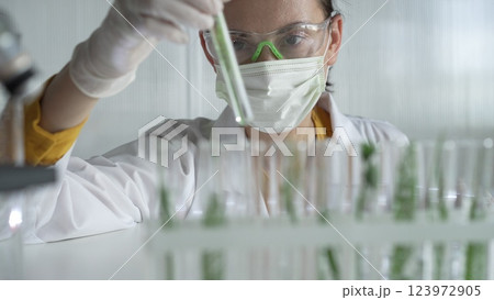 Woman scientist and researcher, wearing a lab coat, green protective gloves and face mask holding a test tube with plants inside, close up. Science concepts Woman scientist and researcher, wearing a lab coat, green protective gloves and face mask holding a test tube with plants inside, close up. Science concepts 123972905