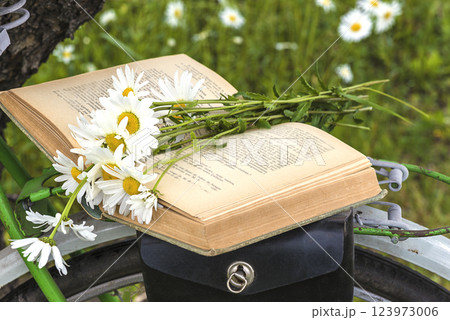 Bouquet of white daisies flowers on a old book and bicycle in summer garden 123973006