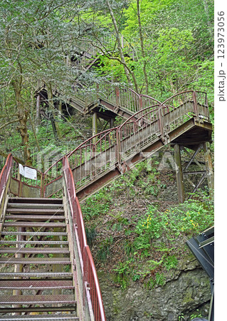 生瀬の滝へ続く登山道 123973056