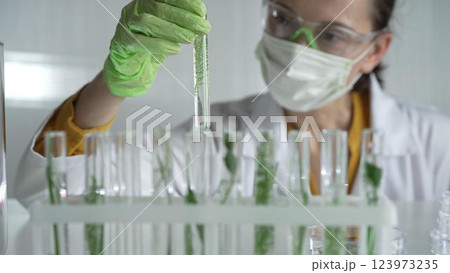 Female scientist wearing a lab coat, green gloves and mask looking to the test tube with plants inside, close up. Science and medicine Female scientist wearing a lab coat, green gloves and mask looking to the test tube with plants inside, close up. Science and medicine 123973235