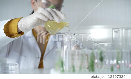 Woman scientist wearing a lab coat, white gloves, and a mask is pouring a yellow oily liquid from a beaker into an Erlenmeyer flask in a laboratory setting, close up. Science and medicine Woman scientist wearing a lab coat, white gloves, and a mask is pouring a yellow oily liquid from a beaker into an Erlenmeyer flask in a laboratory setting, close up. Science and medicine 123973244
