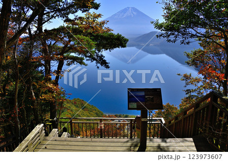 秋の天子山地の中之倉峠展望台より望む富士山 秋の天子山地の中之倉峠展望台より望む富士山 123973607