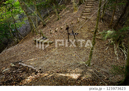天子山地の中ノ倉山 佛峠 天子山地の中ノ倉山 佛峠 123973623