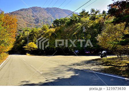 山梨県　本栖湖畔より望む紅葉の竜ヶ岳 123973630