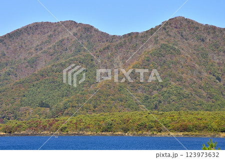 山梨県　本栖湖畔より望む秋のパノラマ台と烏帽子岳 123973632