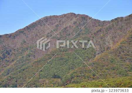 山梨県 本栖湖畔より望む秋のパノラマ台 山梨県 本栖湖畔より望む秋のパノラマ台 123973633