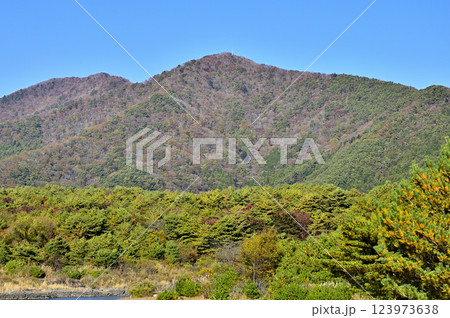 山梨県　本栖湖畔より望む紅葉のパノラマ台と烏帽子岳 123973638