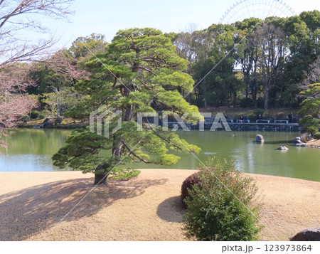 日本庭園 123973864