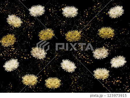 黒と菊 123973915