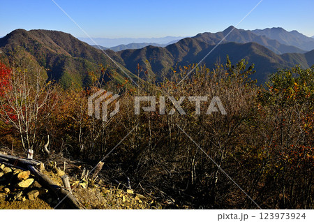 紅葉の御坂山地 朝のパノラマ台から眺める三方分山と王岳 紅葉の御坂山地 朝のパノラマ台から眺める三方分山と王岳 123973924