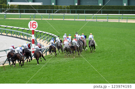 春の中京競馬場 123974193