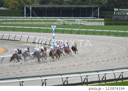 春の中京競馬場 春の中京競馬場 123974194