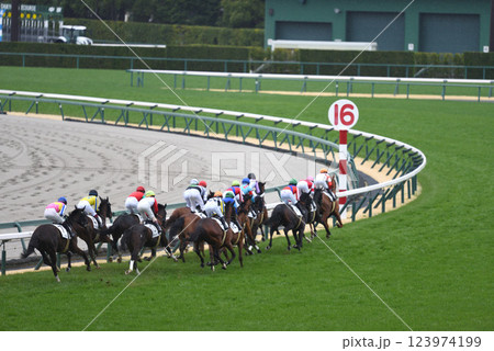 春の中京競馬場 123974199