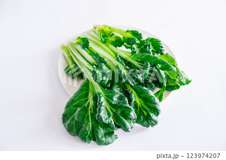 ターサイ ターサイ 123974207