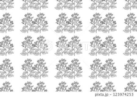 Line art botanical seamless floral pattern with wildflowers vector illustration.Black and white outline repeating plant in white background. Graphic design for Fashion Cover Textile Coloring Page Card 123974253