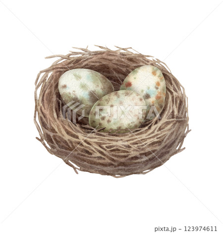 Nest with quail speckled egg in watercolor vintage style. Brown wood bird home. Hand drawn spring illustration. Ideal for invitation template design. Cute artwork for springtime greeting card. Nest with quail speckled egg in watercolor vintage style. Brown wood bird home. Hand drawn spring illustration. Ideal for invitation template design. Cute artwork for springtime greeting card. 123974611