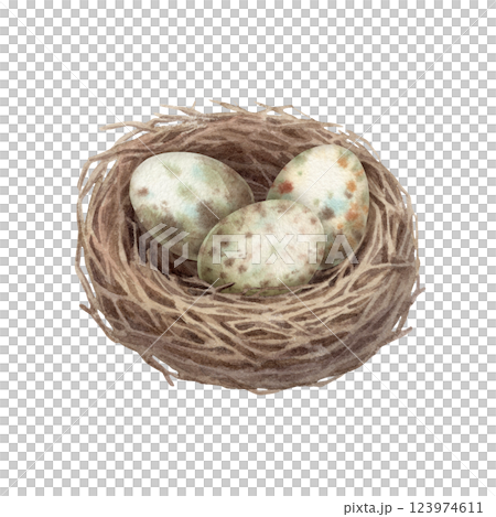 Nest with quail speckled egg in watercolor vintage style. Brown wood bird home. Hand drawn spring illustration. Ideal for invitation template design. Cute artwork for springtime greeting card. Nest with quail speckled egg in watercolor vintage style. Brown wood bird home. Hand drawn spring illustration. Ideal for invitation template design. Cute artwork for springtime greeting card. 123974611