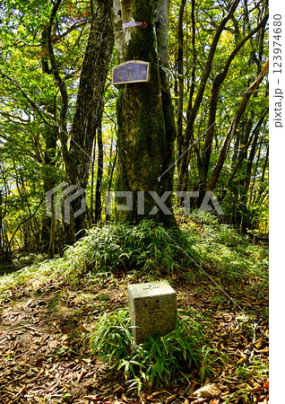 御坂山地　精進山（湖西山）山頂　三等三角点（西ノ入） 123974680