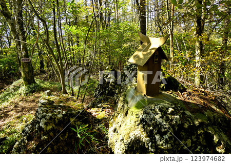 御坂山地 精進山山頂 御坂山地 精進山山頂 123974682