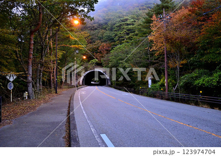 山梨県富士河口湖町 本栖みち(国道300号) 本栖トンネル 山梨県富士河口湖町 本栖みち(国道300号) 本栖トンネル 123974704