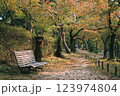 秋の散歩道 123974804