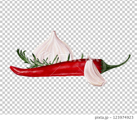 Red hot pepper with garlic and rosemary. Spices and seasonings for food. Watercolor illustration isolated from background. Template for menu and recipe. High quality illustration Red hot pepper with garlic and rosemary. Spices and seasonings for food. Watercolor illustration isolated from background. Template for menu and recipe. High quality illustration 123974923