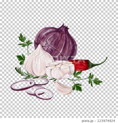 Red onion with garlic and hot pepper. Spices for food. sliced rings and half garlic with cilantro and parsley. Watercolor illustration isolated from background. High quality illustration Red onion with garlic and hot pepper. Spices for food. sliced rings and half garlic with cilantro and parsley. Watercolor illustration isolated from background. High quality illustration 123974924