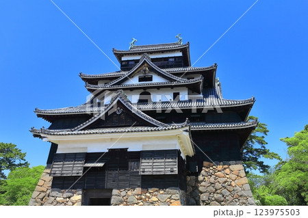 【島根県】快晴の松江城（国宝） 123975503