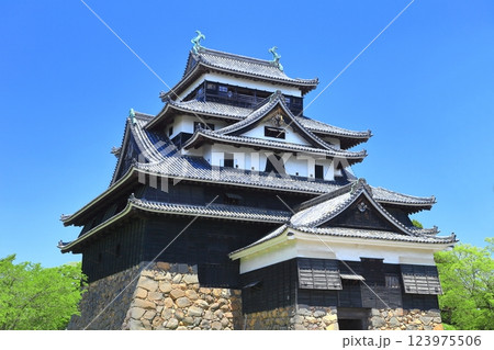【島根県】快晴の松江城（国宝） 123975506