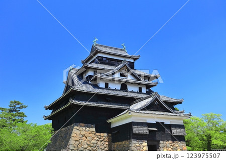 【島根県】快晴の松江城（国宝） 123975507