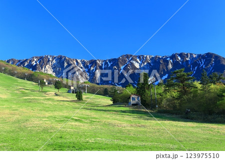 【鳥取県】大山スキー場から見た大山の北壁 【鳥取県】大山スキー場から見た大山の北壁 123975510
