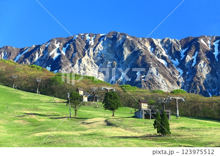 【鳥取県】大山スキー場から見た大山の北壁 【鳥取県】大山スキー場から見た大山の北壁 123975512