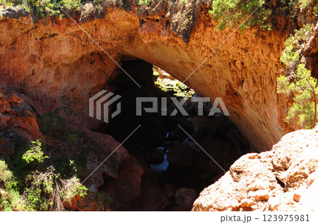 Tonto National Forest Arizona Tonto National Forest Arizona 123975981
