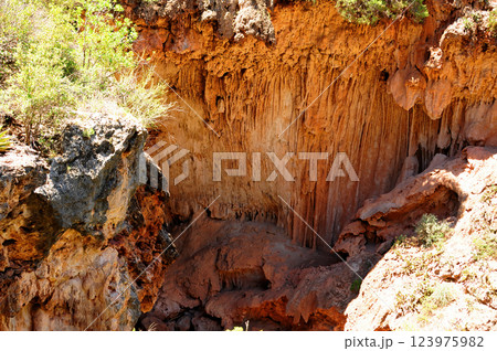 Tonto National Forest Arizona Tonto National Forest Arizona 123975982